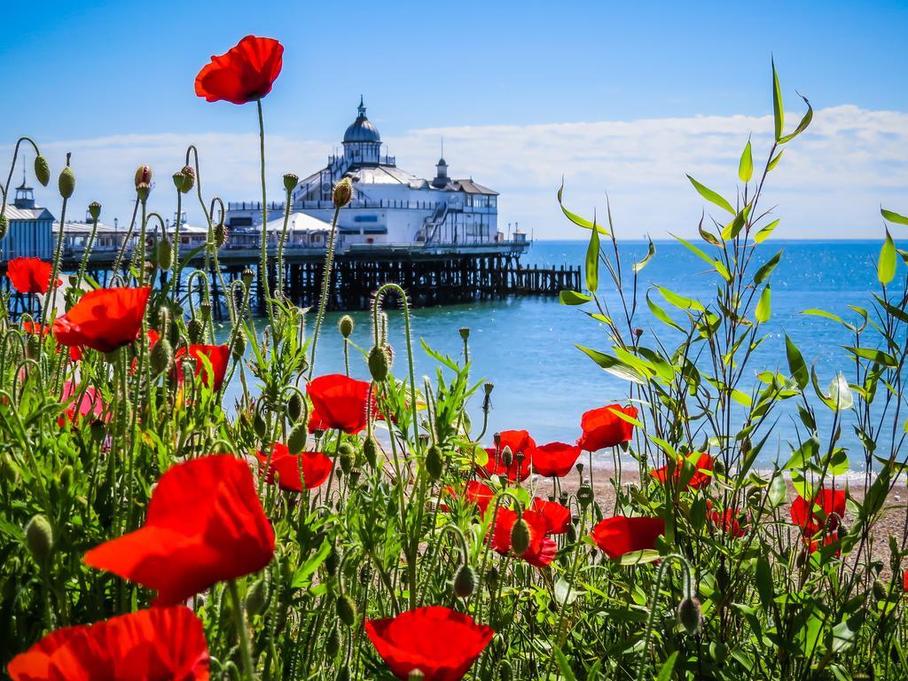 Wendy House Villa WTA-toernooi van WTA-toernooi van Eastbourne Buitenkant foto